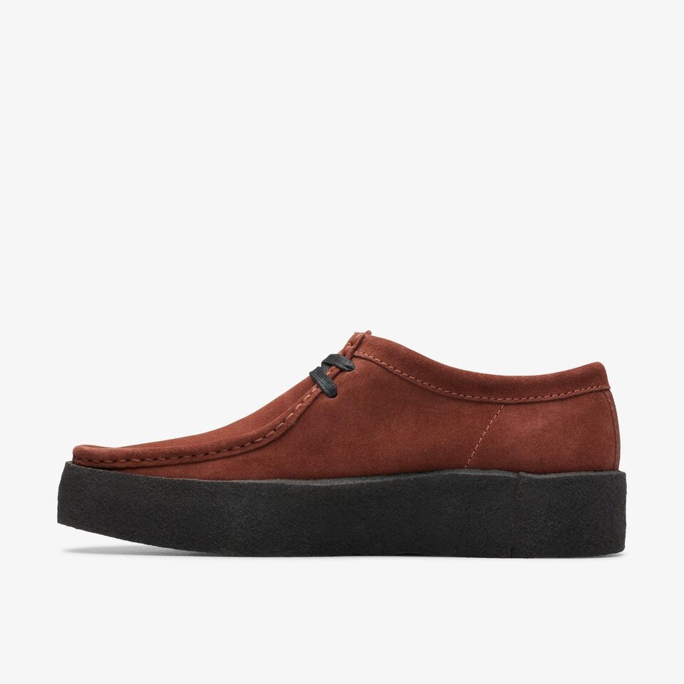 Мужские ботинки Clarks, коричневые, цвет коричневый, размер 43 - фото 3
