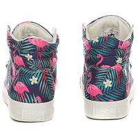 DEE B43-3730-04 - Женские высокие кеды British Knights, принт DEE B43-3730-04 - Женские высокие кеды British Knights, принт