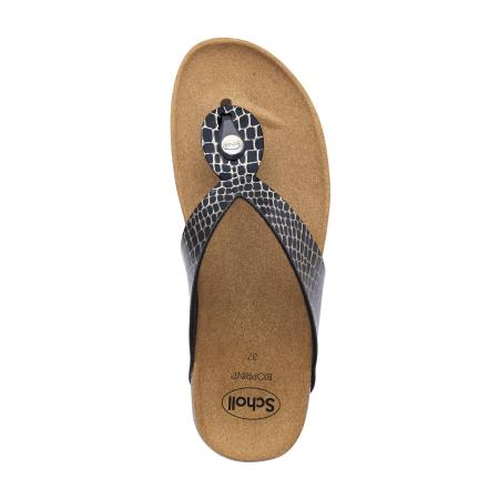 Женские вьетнамки SCHOLL KENNA F298321004, черные