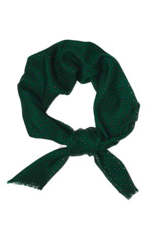 Мужской шарф Gant PAISLEY SCARF 9920044, зеленый