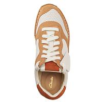 CraftRun Tor. 26167768 - Женские кроссовки Clarks, коричневые CraftRun Tor. 26167768 - Женские кроссовки Clarks, коричневые