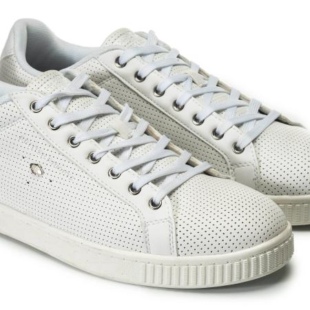 Мужские кеды British Knights DUKE B43-3611-03, белые