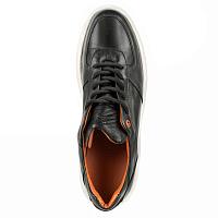  22207209 - Мужские кеды Clarks, черные