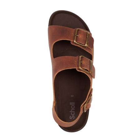 Мужские сандалии SCHOLL GASTON F311981175, коньячные