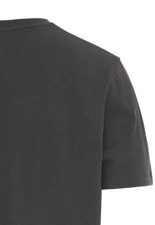 Мужская футболка Camel Active T-Shirt 1/2Arm 409745-1T02, серая