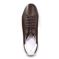 22207170 - Мужские кеды Clarks, коричневые  22207170 - Мужские кеды Clarks, коричневые