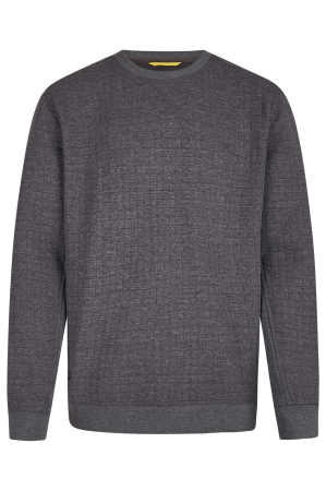 Мужской свитшот Camel Active Sweatshirt 409445-1W20, серый