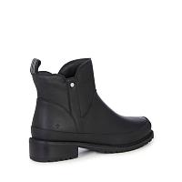 Nashira W12595 - Nashira W12595