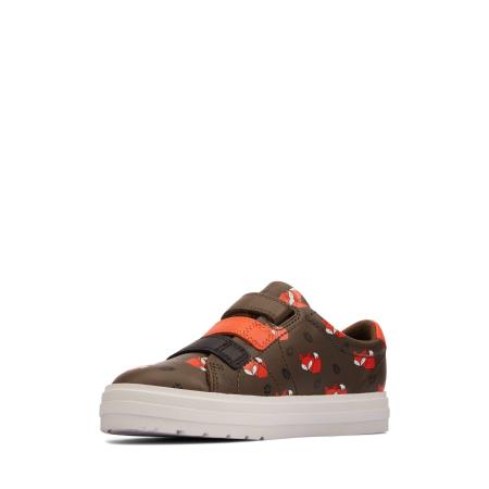 Nova Early K 26162353