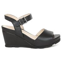 ANITA 1 CALF 106540 - ANITA 1 CALF 106540 ANITA 1 CALF 106540 - ANITA 1 CALF 106540