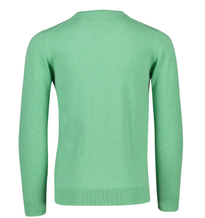 CLASSIC COTTON V-NECK 8030552