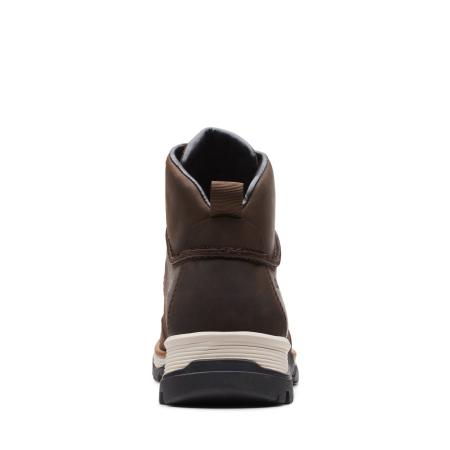 Мужские ботинки Clarks ToptonPine GTX 26161260, коричневые