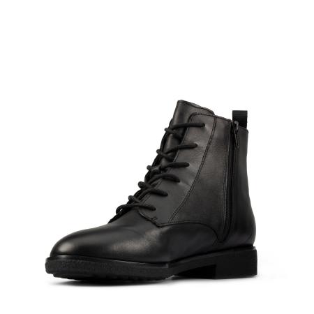 Griffin Lace 26151035