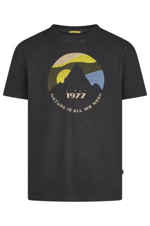 Мужская футболка Camel Active T-SHIRT shortsleeve 409745-3T27, серая