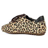 WKN WKNS267 - Женские кеды EMU Australia, коричневые