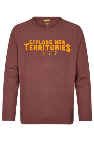 Мужская футболка Camel Active T-Shirt 1/1 Arm 409645-8T13, бордовая