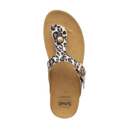 Женские вьетнамки SCHOLL GANDIA F298661039, мультиколор