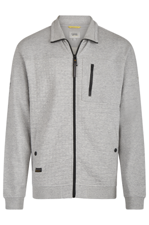 Мужская толстовка Camel Active Sweatjacket 409402-1W21, серая