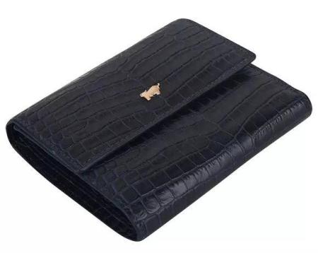 Женский кошелек Braun Buffel AMALFI Coin Wallet 8CS 45244, синий