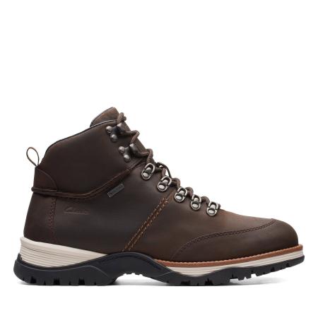 Мужские ботинки Clarks ToptonPine GTX 26161260, коричневые