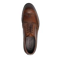  33303130-1000 - Мужские дерби брогированные Bugatti, коричневые