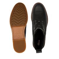 Clarkdale Lace 26155831 - Женские высокие ботинки Clarks, черные Clarkdale Lace 26155831 - Женские высокие ботинки Clarks, черные