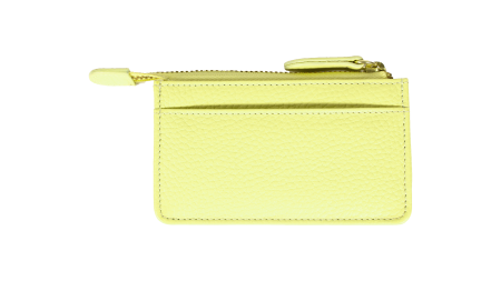 Женская ключница Braun Buffel ASTI Schlüsseletui 50400, зеленая