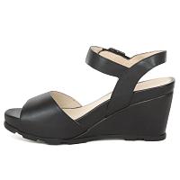 ANITA 1 CALF 106540 - ANITA 1 CALF 106540 ANITA 1 CALF 106540 - ANITA 1 CALF 106540