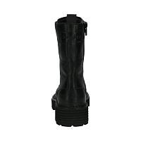 Carolina 431A4S30-4000 - Carolina 431A4S30-4000