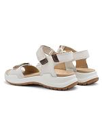 MOTION-S 12-23502-09 - MOTION-S 12-23502-09