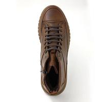 BC13401-K-180 - Мужские высокие кеды Clarks, коньячные  BC13401-K-180 - Мужские высокие кеды Clarks, коньячные