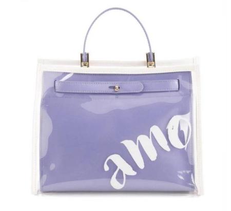 TB/AMO - BAG W/TRANSPARENT CASE TS2136B36