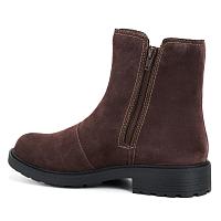 Opal Sky 26167848 - Женские полусапоги Clarks, коричневые