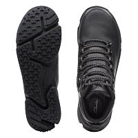 TriPathDay2GTX 26163804 - TriPathDay2GTX 26163804