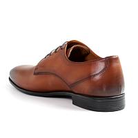 22207126 - Мужские дерби Clarks, коньячные