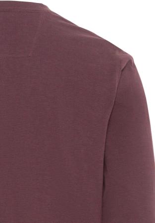 Мужской джемпер Camel Active Henley 1/1 Arm 409670-8T51, бордовый