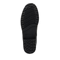 Nashira W12595 - Nashira W12595